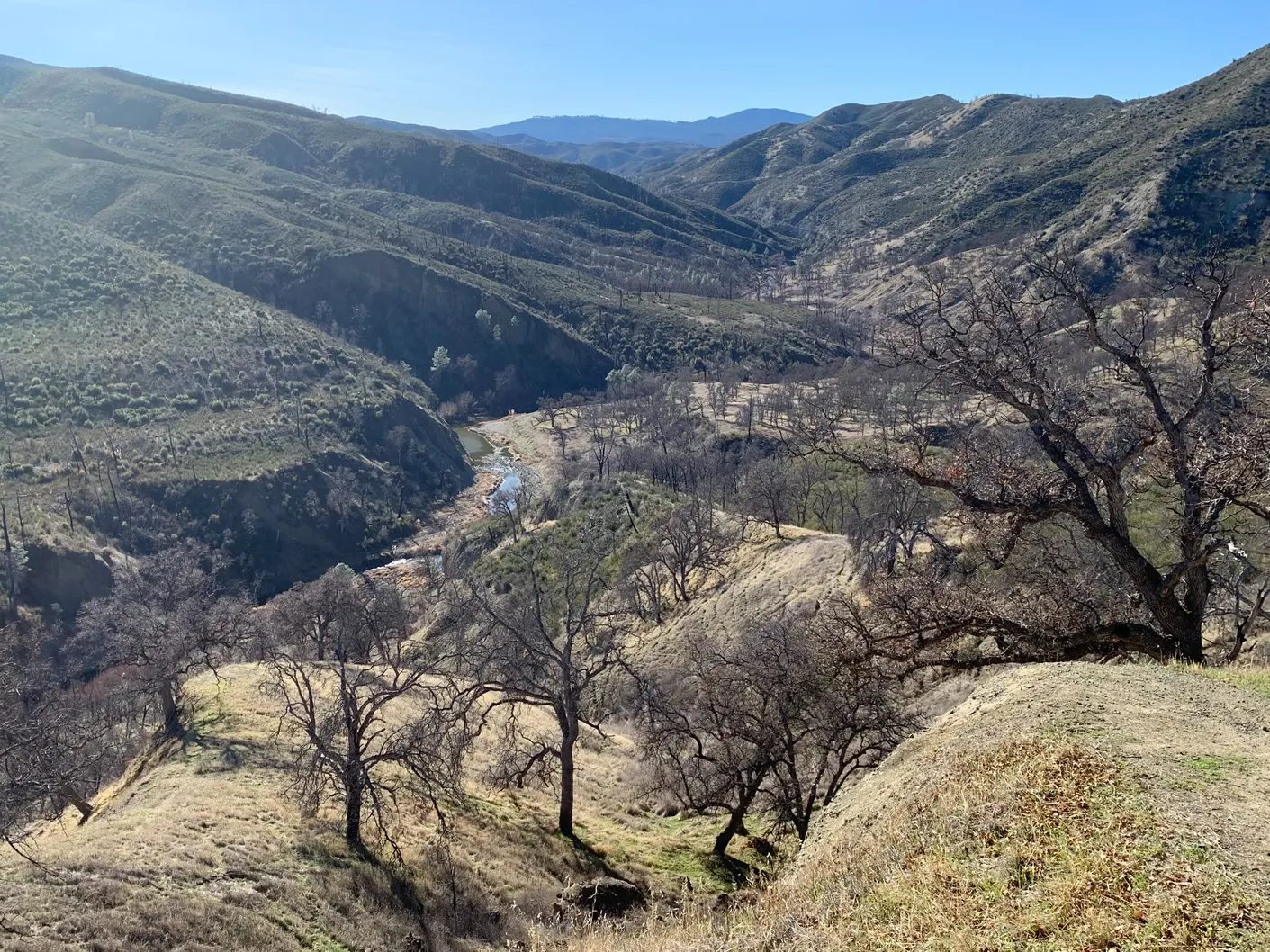 An oak woodland canyon in California with a creek winding along its floor