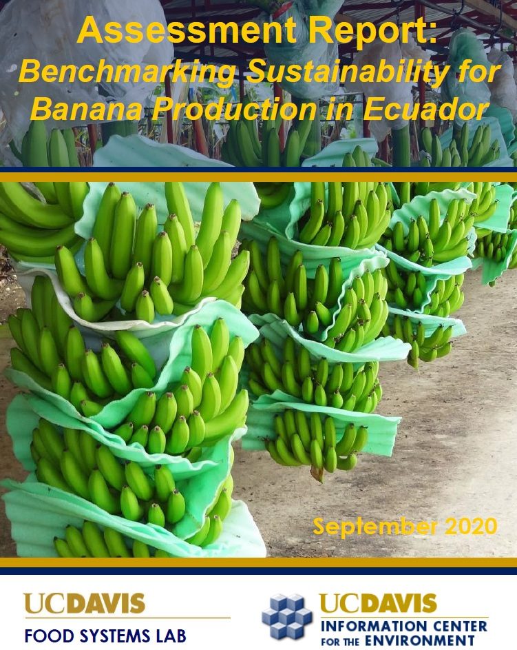 Cover of the assessment report Benchmarking Sustainability for Banana Production in Ecuador