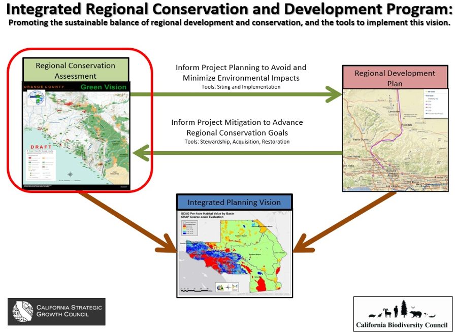 Diagram of the Integrated Regional Conservation and Development Program linking a regional conservation assessment, a regional development plan and an integrated planning vision