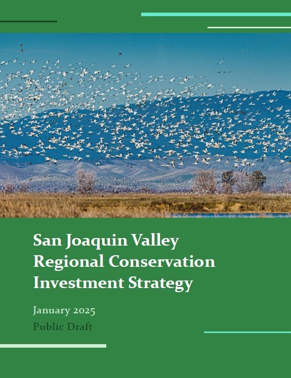Cover of the San Joaquin Valley Regional Conservation Investment Strategy, public draft, January 2025